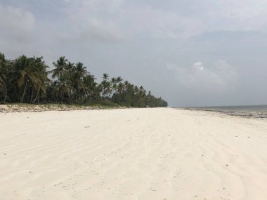 Hint Okyanusu kıyısında. Zanzibar adası. Afrika.