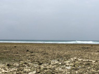 Hint Okyanusu kıyısında. Zanzibar adası. Afrika.