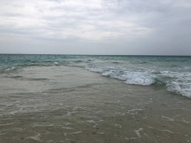 Hint Okyanusu kıyısında. Zanzibar adası. Afrika.