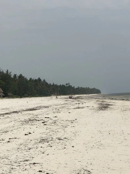 Côte Océan Indien Île Zanzibar Afrique — Photo
