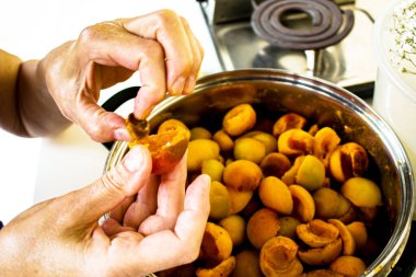 Evde kayısı reçeli üretme süreci. Kadın eli tohumlardaki kayısı meyvelerini soyar..