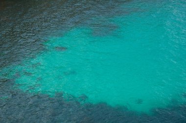 Akan su ve alglerin doğal yumuşak arka planı. Nehrin yüzeyi. Boşluğu kopyala.