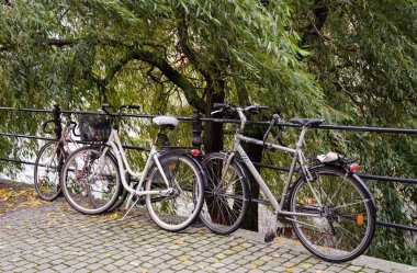 Birkaç bisiklet profili var, çitlere kilitlenmiş. Halka açık bir parkta bisiklet parkı.