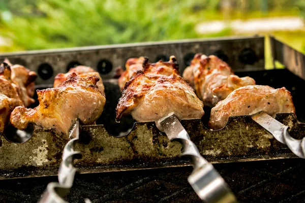 Espetos Marinados São Preparados Uma Churrasqueira Sobre Carvão Vegetal Kebab — Fotografia de Stock