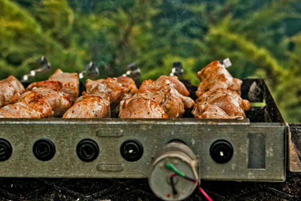 Shish Kebab Szaszłyki Zewnątrz Zbliżenie Kozieradka Elektryczna Obrotowymi Szaszłykami — Zdjęcie stockowe