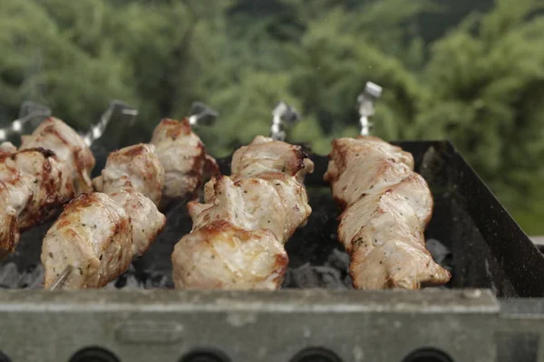 Espetos Marinados São Preparados Uma Churrasqueira Sobre Carvão Vegetal Kebab — Fotografia de Stock