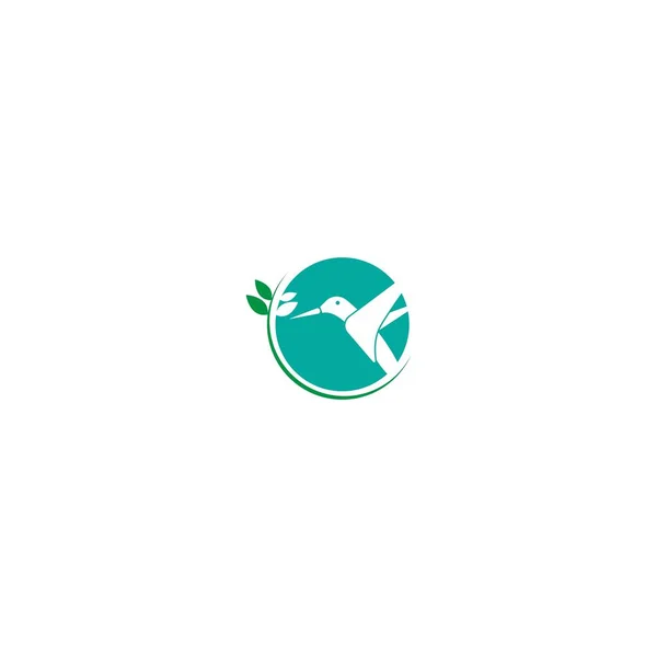 Kolibri Logo Ikone Kreative Design Vorlage — Stockvektor