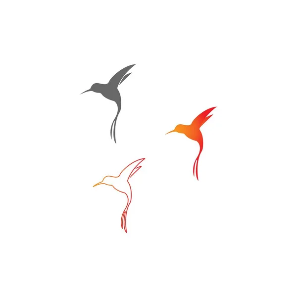 Plantilla Diseño Creativo Icono Logotipo Colibrí — Vector de stock