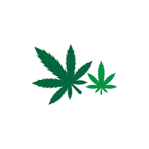 Cannabis Folha Logotipo Design Vetor Modelo Ilustração — Vetor de Stock