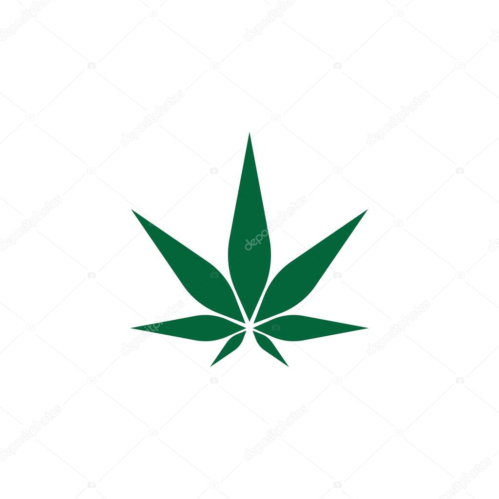Cannabis leaf logo design vector template illustration