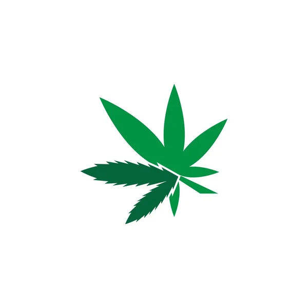 Illustration Vectorielle Modèle Conception Logo Feuille Cannabis — Image vectorielle