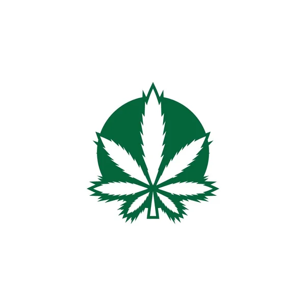 Hoja Cannabis Logotipo Diseño Vector Plantilla Ilustración — Archivo Imágenes Vectoriales