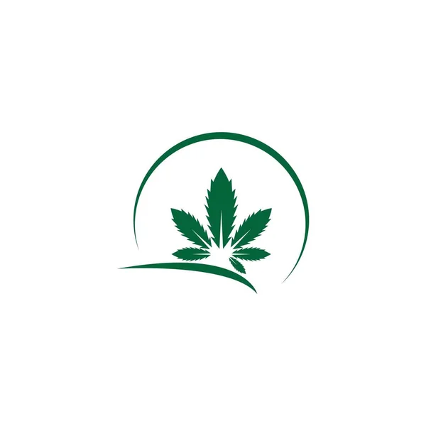 Cannabis Folha Logotipo Design Vetor Modelo Ilustração — Vetor de Stock