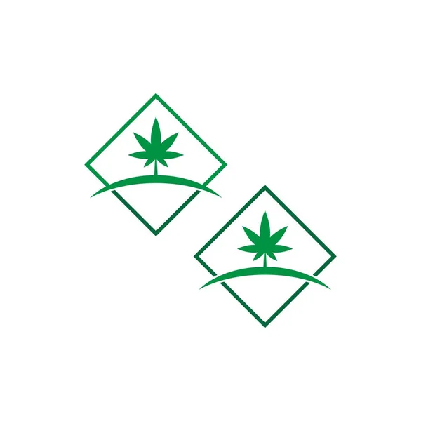 Illustration Vectorielle Modèle Conception Logo Feuille Cannabis — Image vectorielle