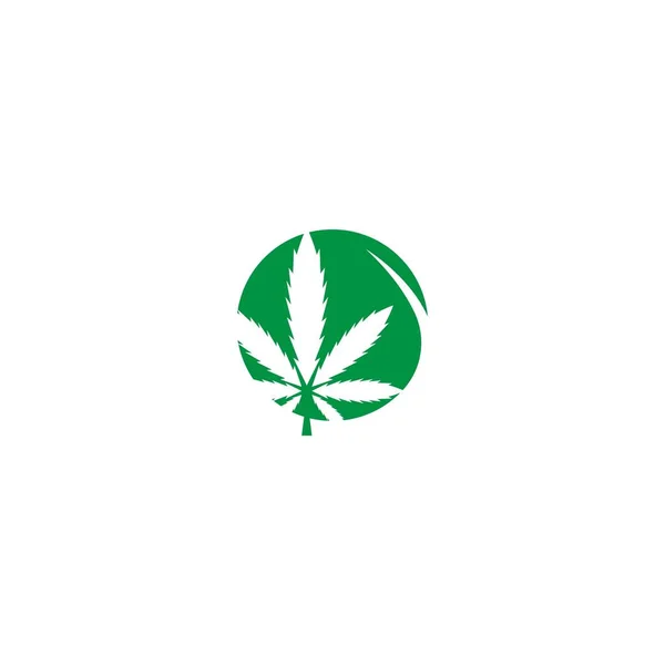 Cannabis Folha Logotipo Design Vetor Modelo Ilustração —  Vetores de Stock