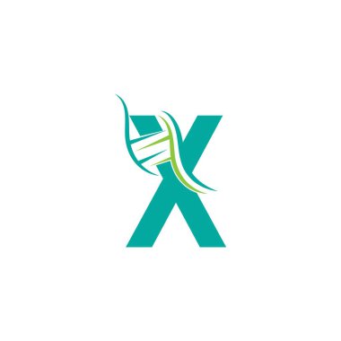 X harfi şablon tasarım illüstrasyonlu DNA simgesi logosu