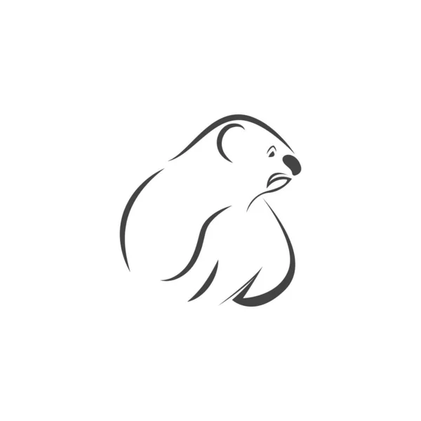 Koala Logo Icon Design Illustration Vector Template — Stock Vector