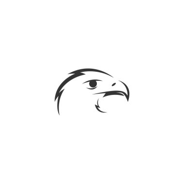 Falcon, Eagle Bird Logo Simgesi Tasarım Vektörü Şablonu