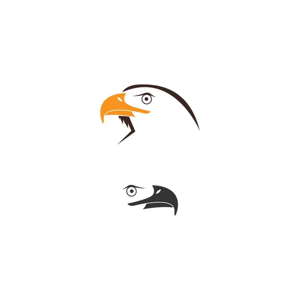 Falcon Modèle Vectoriel Conception Icône Logo Oiseau Aigle — Image vectorielle