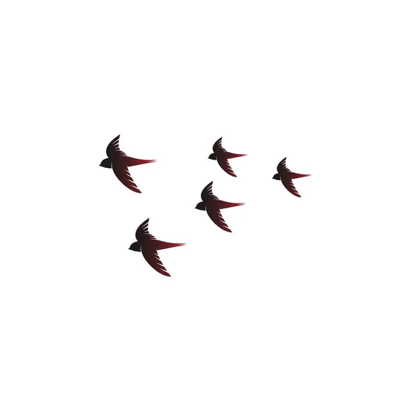 Swift Kuş logo şablon vektörünün Basit Tasarımı
