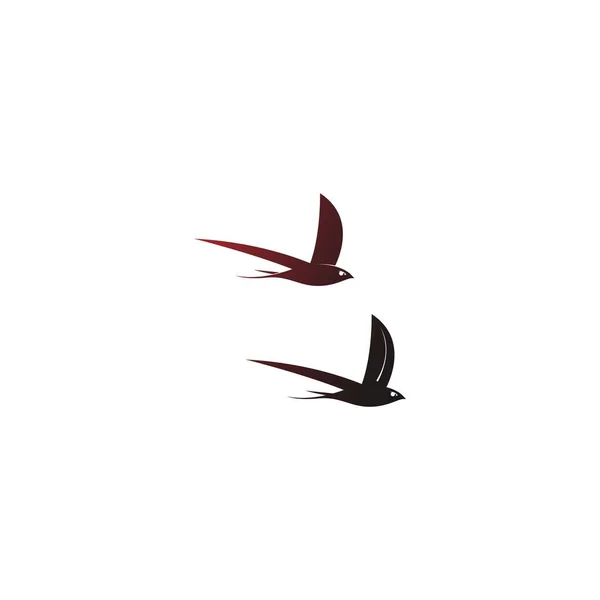 Diseño Simple Swift Bird Logotipo Icono Plantilla Vector — Vector de stock