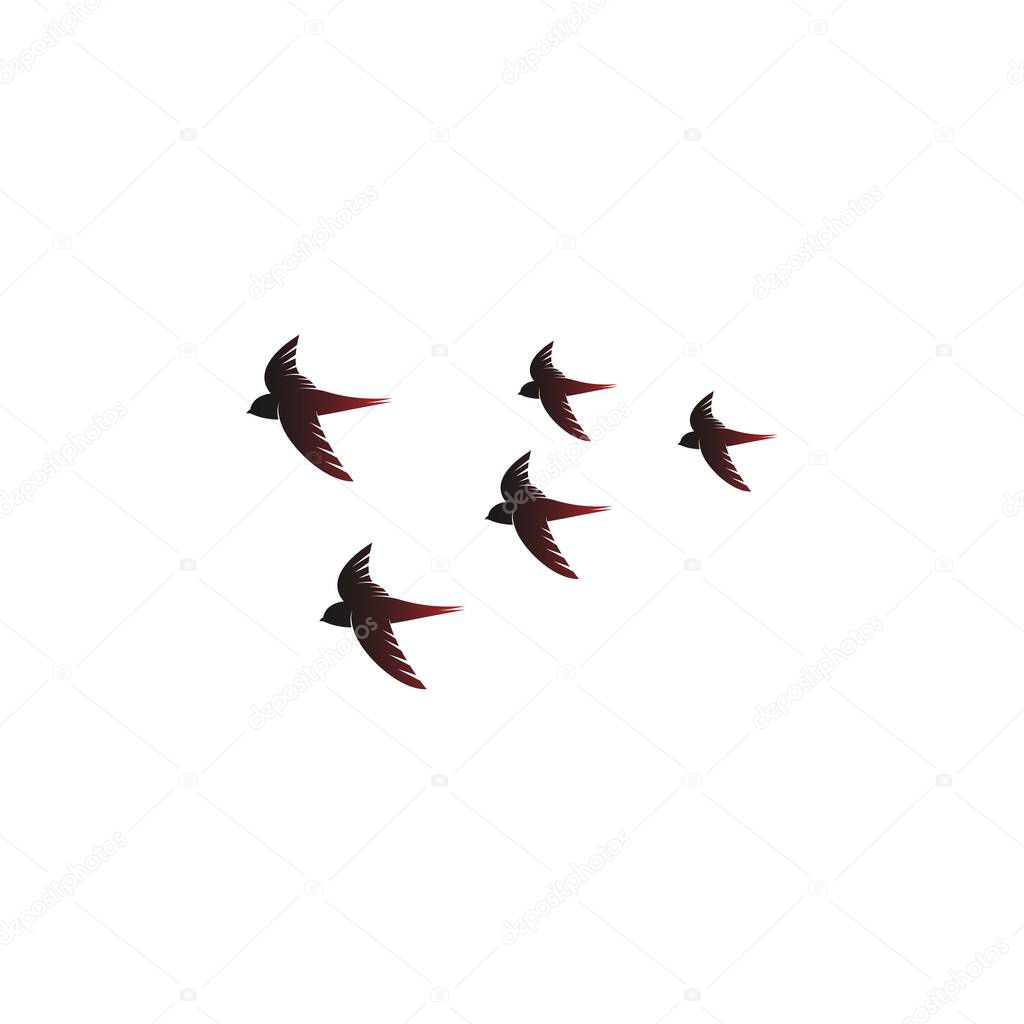 Simple Design of Swift Bird logo icon template vector