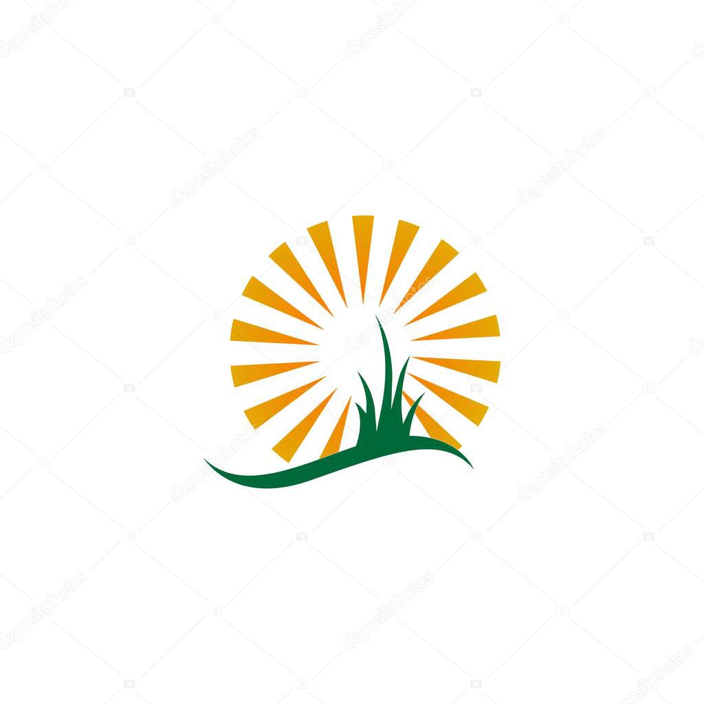 Sun logo icon flat design vector template illustration
