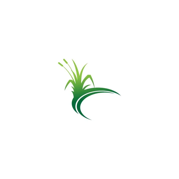 Natürliches Gras Symbol Logo Design Vektor Vorlage Illustration — Stockvektor