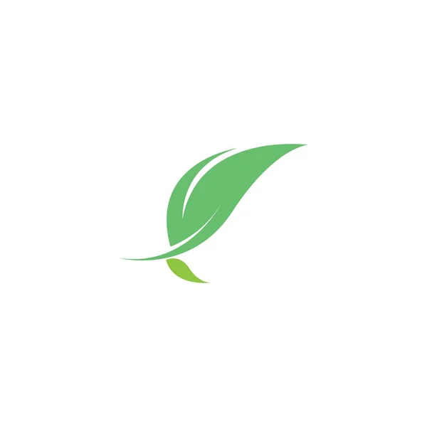Зеленый Лист Логотип Логотипа Иконки Натурального Листа Вектор Шаблона — стоковый вектор