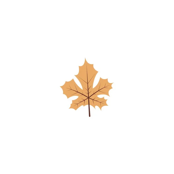 Autumn Leaves Icon Flat Design Template Vector — Stock Vector