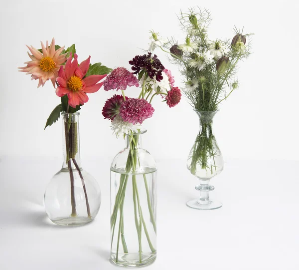 Vases de fleurs d'été — Photo