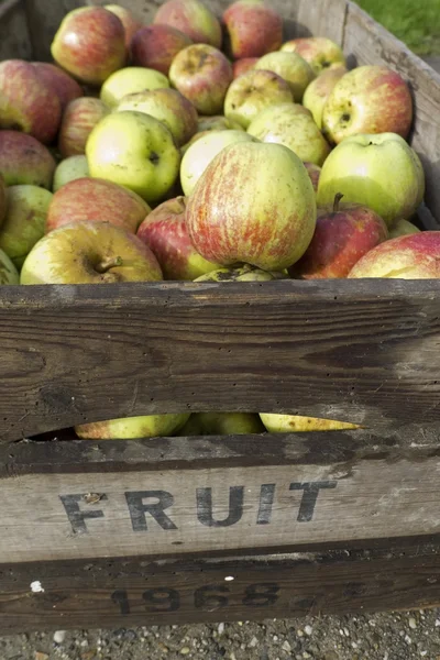 Appels in houten kist — Stockfoto