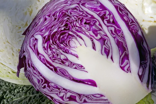 Assortment of cabbage — Stock Photo, Image