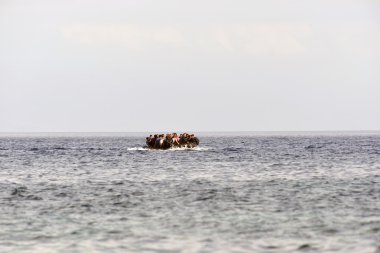 mülteci göçmenler, Lesvos şişme bot teknelerde geldi