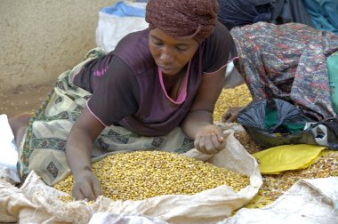 İnsanlar hayat Uganda. O seçmek ve fasulye satan kadın