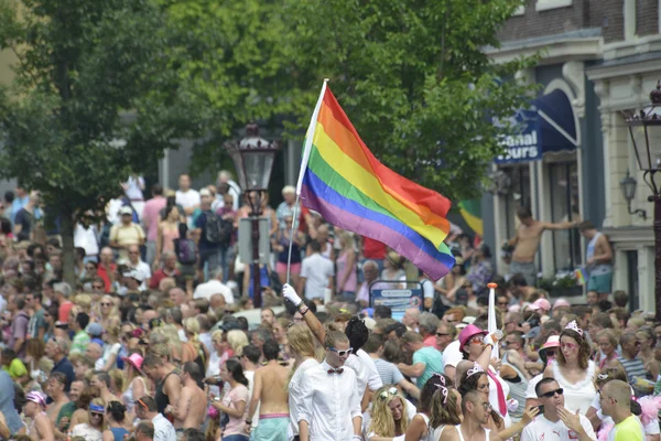 Participantes en el evento anual para la protección de los derechos humanos y la igualdad civil, Gaypride 2015 — Foto de Stock