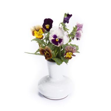 Vintage vazoda Hercai Menekşe