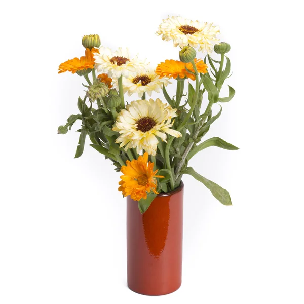 Calendula in vintage vase — Stock Photo, Image