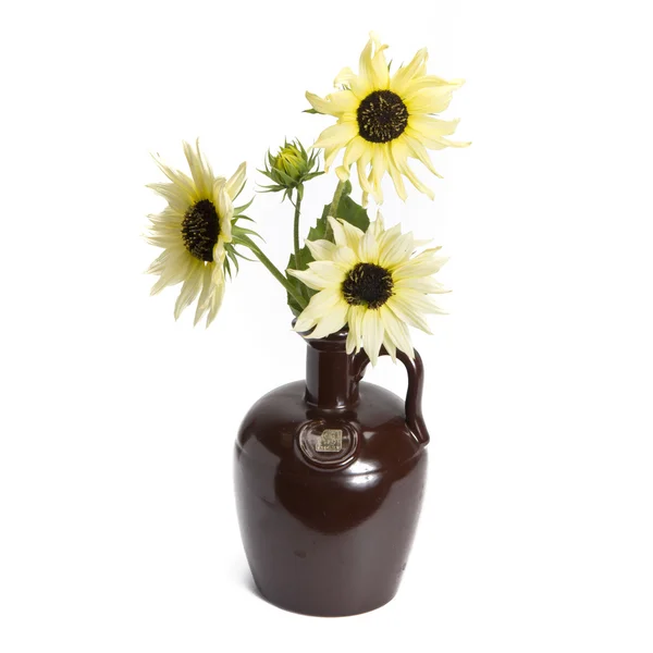 Sunflower in vintage vase — Stock Photo, Image