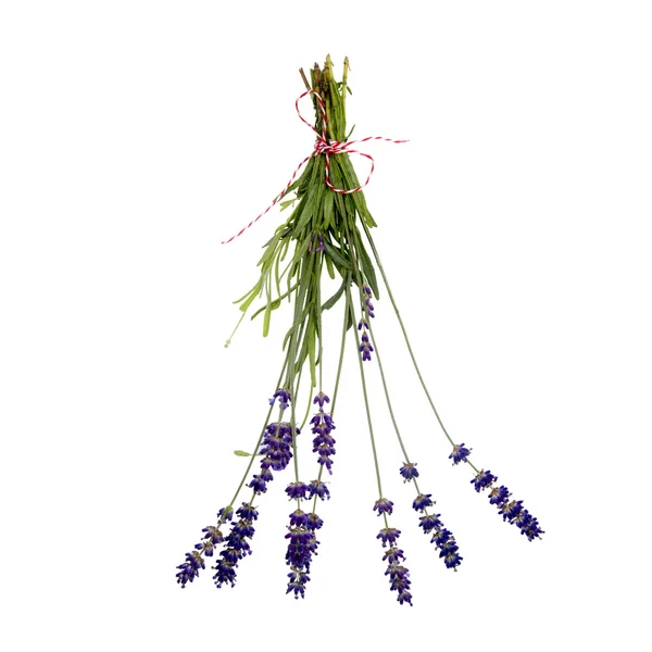 Lavender herb bouquet — Stock Photo, Image