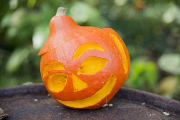 Carving pumpkins for holiday Halloween