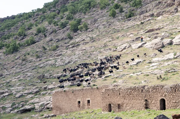 Killit χωριό Μαρντίν — Φωτογραφία Αρχείου