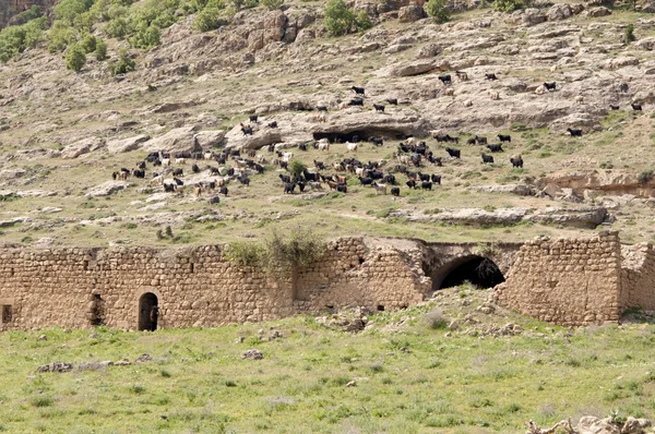 Killit dorp mardin — Stockfoto