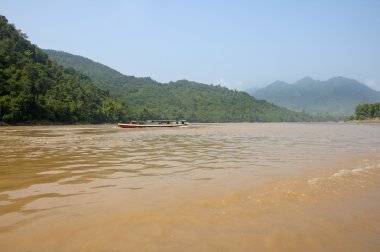 Kırmızı plumaria Tayland