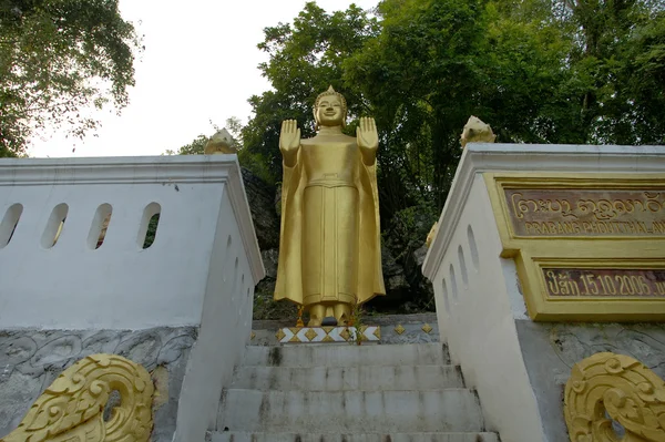 Piros plumaria, Thaiföld — Stock Fotó