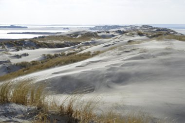 plaj ve dunes Terschelling