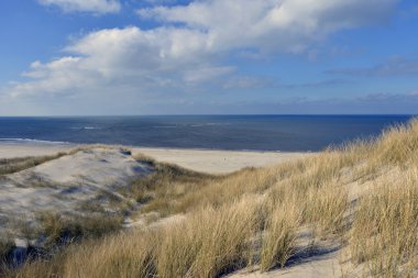 plaj ve dunes Terschelling