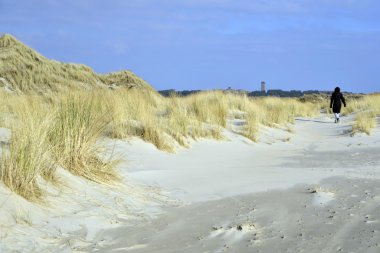 plaj ve dunes Terschelling