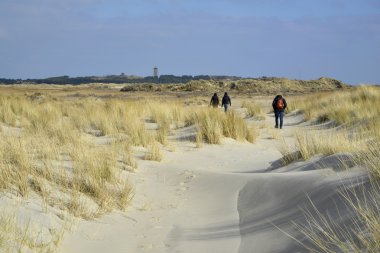 plaj ve dunes Terschelling