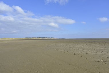 plaj ve dunes Terschelling
